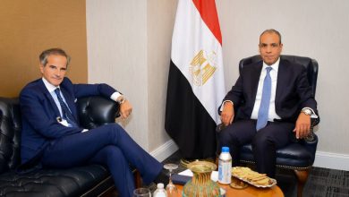 وزير الخارجية يلتقي المدير العام للوكالة الدولية للطاقة الذرية المرشح لمنصب سكرتير عام الأمم المتحدة.