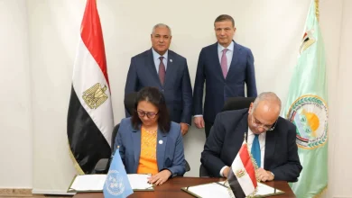 وزير الزراعة و«الفاو» يطلقان مشروعين لتنمية سيناء وتطوير الزيتون في مصر