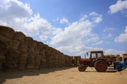 وزيرة التنمية المحلية والبيئة تتابع جهود مواجهة السحابة السوداء بالدقهلية