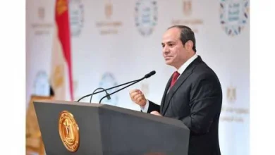 الرئيس السيسي يؤكد إستعداد مصر لدعم تنفيذ الخطة الخمسية للسنغال