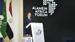 الرئيس السيسي: التنمية الإقتصادية لا تبنى في دول غير مستقرة