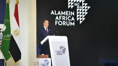 الرئيس السيسي: التنمية الإقتصادية لا تبنى في دول غير مستقرة
