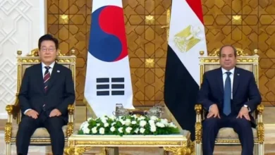مصر وكوريا وحجم التبادل التجاري يصل الي 874 مليون دولار