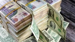 الاقتصاد المصري شهد مؤشرات إيجابية على مستوى الأداء والتحسن مع العالم
