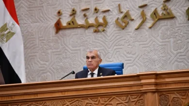 رئيس مجلس الشيوخ: مصر تقف إلى جانب السعودية دفاعا عن أمنها وسيادتها