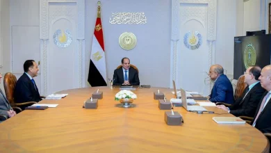 الرئيس السيسي يتابع رياح السويس 200 ميجاوات ويوجه بتوطين الذهب الأسود من الرمال السوداء