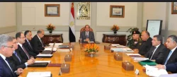 السيسي يوجه بسحب الأراضي الصناعية الشاغرة وتيسير إجراءات إنشاء المصانع الجديدة