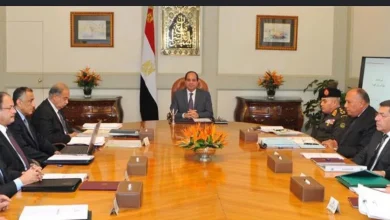 السيسي يوجه بسحب الأراضي الصناعية الشاغرة وتيسير إجراءات إنشاء المصانع الجديدة