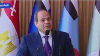 الرئيس السيسي: ورسالته تؤكد جاهزية مصر لمساندة السعودية ودول الخليج