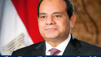 الرئيس السيسي يصدر قرارًا جمهوريًا جديدًا بشأن مشروعات الطاقة المتجددة
