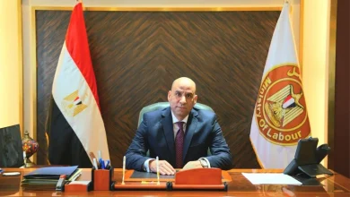 وزير العمل يعلن عن 6349 فرصة عمل فى 46 شركة قطاع خاص بـ11 محافظة