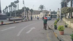الجيزة: حملات مكثفة لرفع كفاءة النظافة بشارع الجامعة بحي جنوب