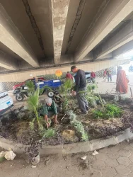 محافظ الجيزة يحول مقالب القمامة إلى حدائق  "اتحضر للأخضر" تتألق في الطالبية