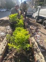 الجيزة:  بتوجيهات الأنصاري أحواض الزهور تتزين في ترعة السواحل بالوراق