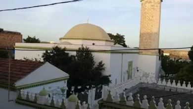 التلفزيون المصري وإذاعة القرآن الكريم ينقلان شعائر الجمعة من المنوفية