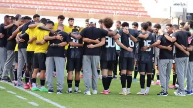 فاركو يعبر مالية كفر الزيات بهدف نظيف ويقتحم المربع الذهبي 