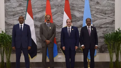 الرئيس السيسى يعقد قمة رباعية فى العلمين مع قادة إريتريا والصومال والسودان.