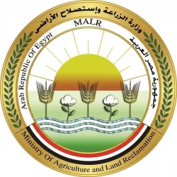 الزراعة ترفع حالة الطوارئ للموسم الشتوي وتعلن خطة شاملة لدعم المزارعين