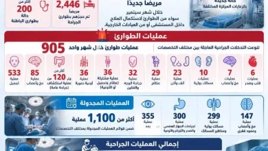 المستشفى الرئيسي بجامعة الإسكندرية تستقبل 4,889 مريضًا بالطوارئ وتجري أكثر من 2,100 عملية خلال سبتمبر