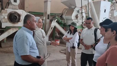 المعهد القومي لعلوم البحار والمصايد يستقبل وفدًا أكاديميًا من دولة تونس لتعزيز التعاون البحثي