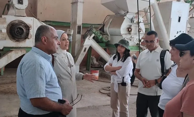 المعهد القومي لعلوم البحار والمصايد يستقبل وفدًا أكاديميًا من دولة تونس لتعزيز التعاون البحثي