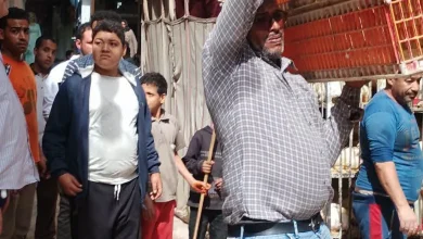 حملة مكبرة لرفع الإشغالات وإعادة الانضباط لشوارع مدينة جرجا (103 مضبوطات)