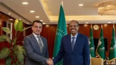 رئيس مفوضية الاتحاد الأفريقي يبحث مع السفير المصري القضايا الإقليمية
