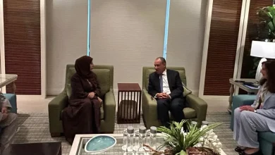 وزير الخارجية يبحث مع نظيرته اليمنية جهود التهدئة وأمن الملاحة بالبحر الأحمر