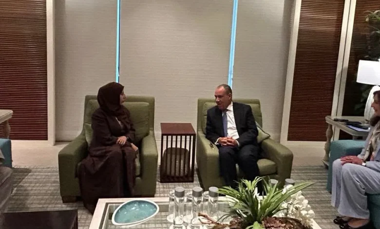 وزير الخارجية يبحث مع نظيرته اليمنية جهود التهدئة وأمن الملاحة بالبحر الأحمر