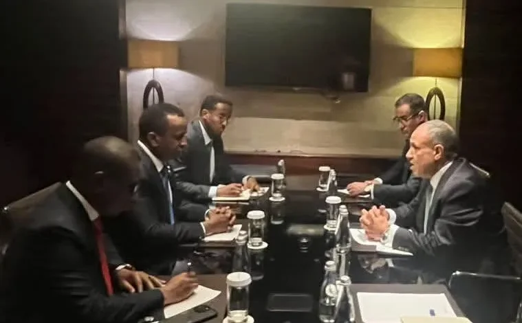 وزير الخارجية يبحث مع نظيره الصومالي تعزيز العلاقات الثنائية