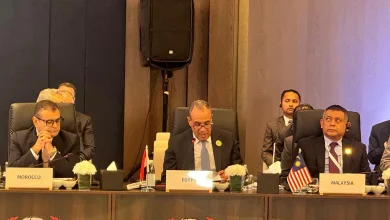 وزير الخارجية يستعرض موقف مصر من أزمات المنطقة في اجتماع التعاون الإسلامي